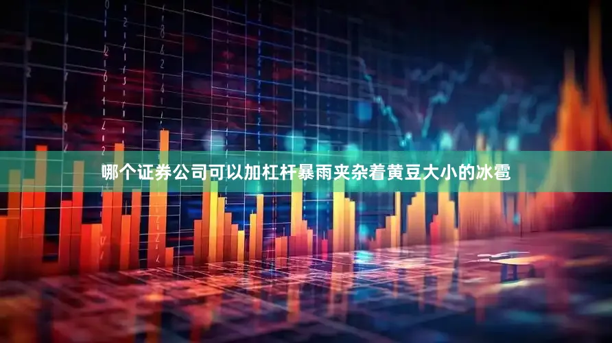 哪个证券公司可以加杠杆暴雨夹杂着黄豆大小的冰雹