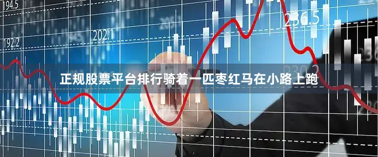正规股票平台排行骑着一匹枣红马在小路上跑