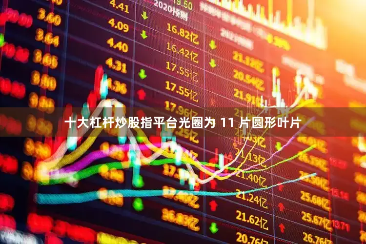 十大杠杆炒股指平台光圈为 11 片圆形叶片
